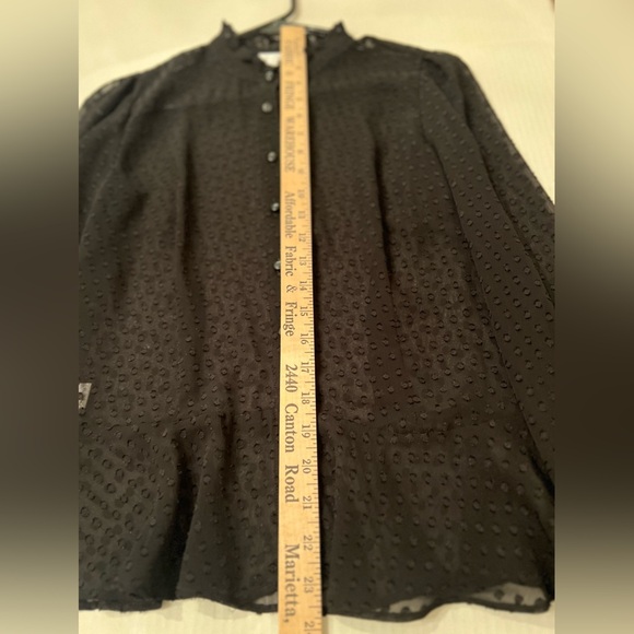 ANN TAYLOR LOFT SHEER BLACK W/BLACK VELVET DOTS BLOUSE/SIZE 4 VERY DRESSY BLOUSE - Picture 3 of 10